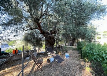 Giardino - Villa Contrada Bosco di Sopra
 
snc, Canicattini Bagni - foto 21