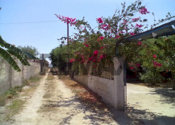 Non correlato - Villa Viale Haloha, granelli
 
o, Pachino - foto 12