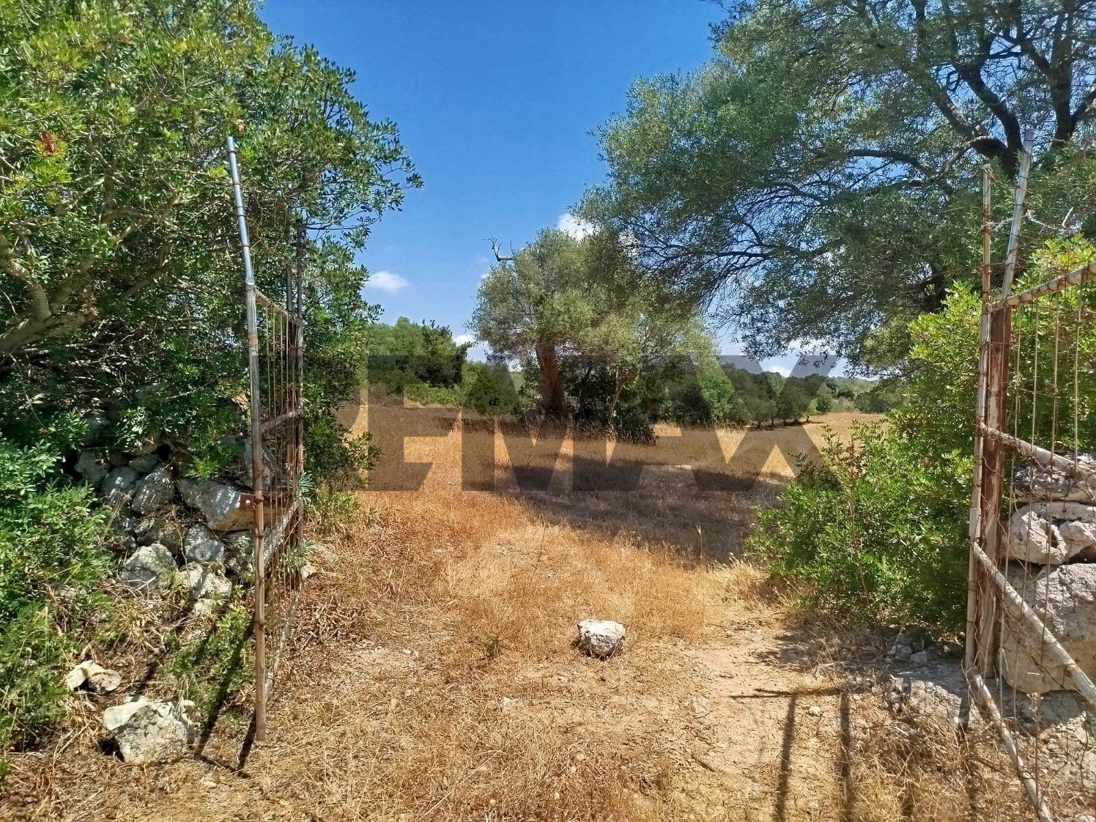 Giardino - Terreno agricolo contrada canzeria - cugni di cassaro
 
sn, Noto - foto 1
