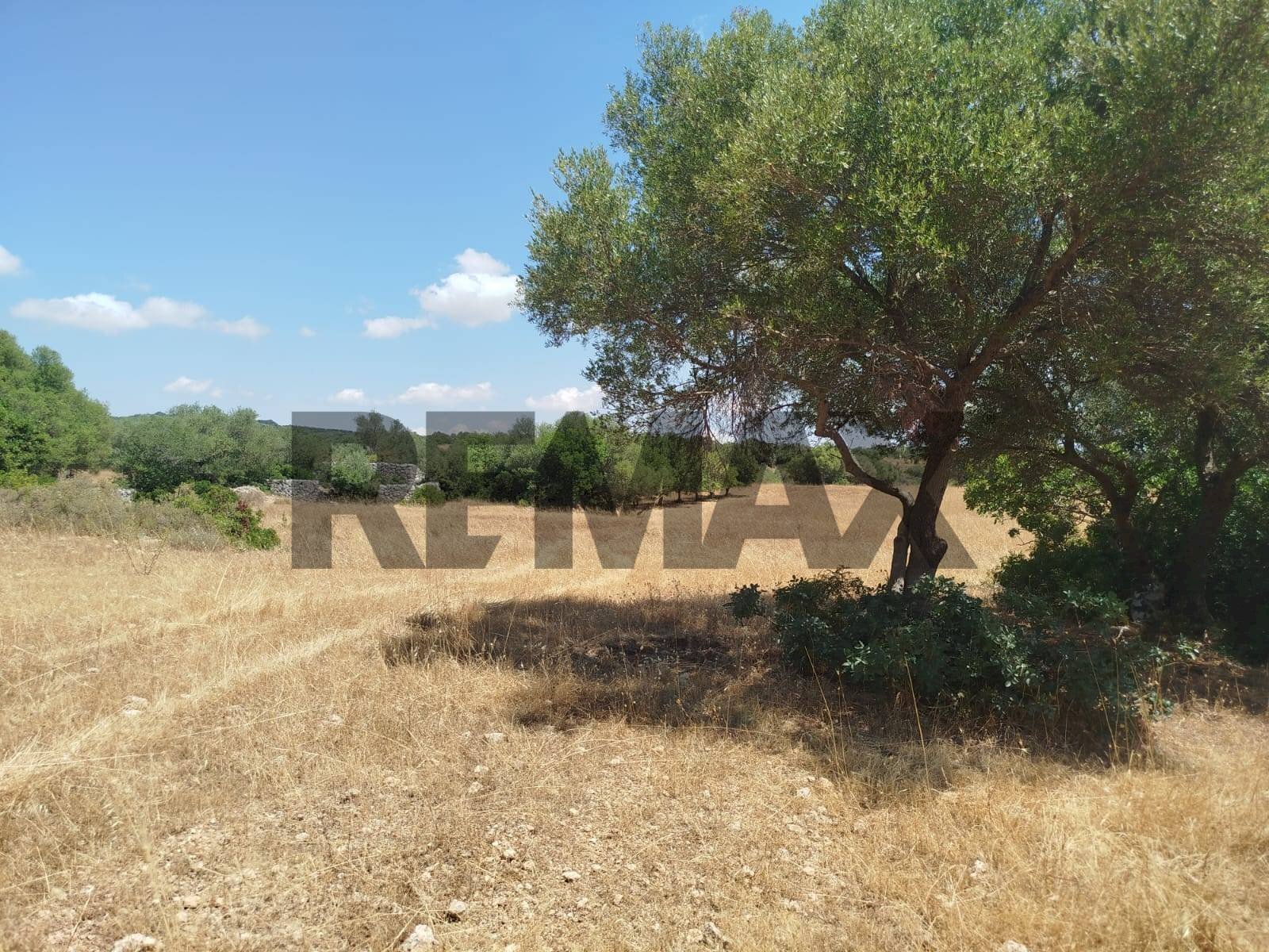 Giardino - Terreno agricolo contrada canzeria - cugni di cassaro
sn, Noto - foto 3