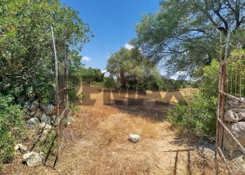 Giardino - Terreno agricolo contrada canzeria - cugni di cassaro
sn, Noto - foto 1