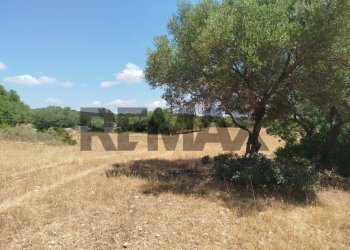 Giardino - Terreno agricolo contrada canzeria - cugni di cassaro
sn, Noto - foto 3