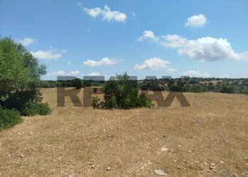 Vista delle montagne - Terreno agricolo contrada canzeria - cugni di cassaro
sn, Noto - foto 9