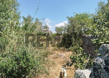 Giardino - Terreno agricolo contrada canzeria - cugni di cassaro
sn, Noto - foto 13