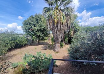 Giardino - Villa Località Feroni
 
snc, Sessa Aurunca - foto 69