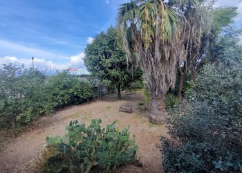 Giardino - Villa Località Feroni
 
snc, Sessa Aurunca - foto 70