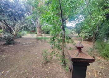 Giardino - Villa Località Feroni
 
snc, Sessa Aurunca - foto 71