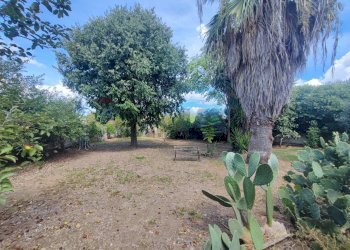 Giardino - Villa Località Feroni
 
snc, Sessa Aurunca - foto 75
