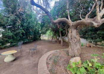 Giardino - Villa Località Feroni
 
snc, Sessa Aurunca - foto 81