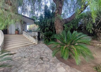 Giardino - Villa Località Feroni
 
snc, Sessa Aurunca - foto 82