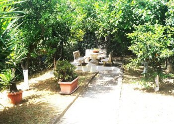 Giardino - Quadrilocale Via Petrarca
 
44, Caserta - foto 24