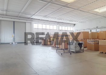 Non correlato - Capannone Via dell'Economia
7, Castelfranco Veneto - foto 5