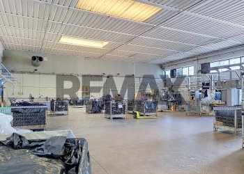 Palestra - Capannone Via dell'Economia
7, Castelfranco Veneto - foto 8