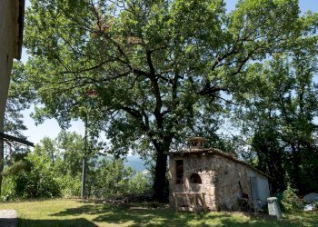 LEGNAIA E FORNO - Casa indipendente LOCALITA RIVIANO
1, Varano de' Melegari - foto 13