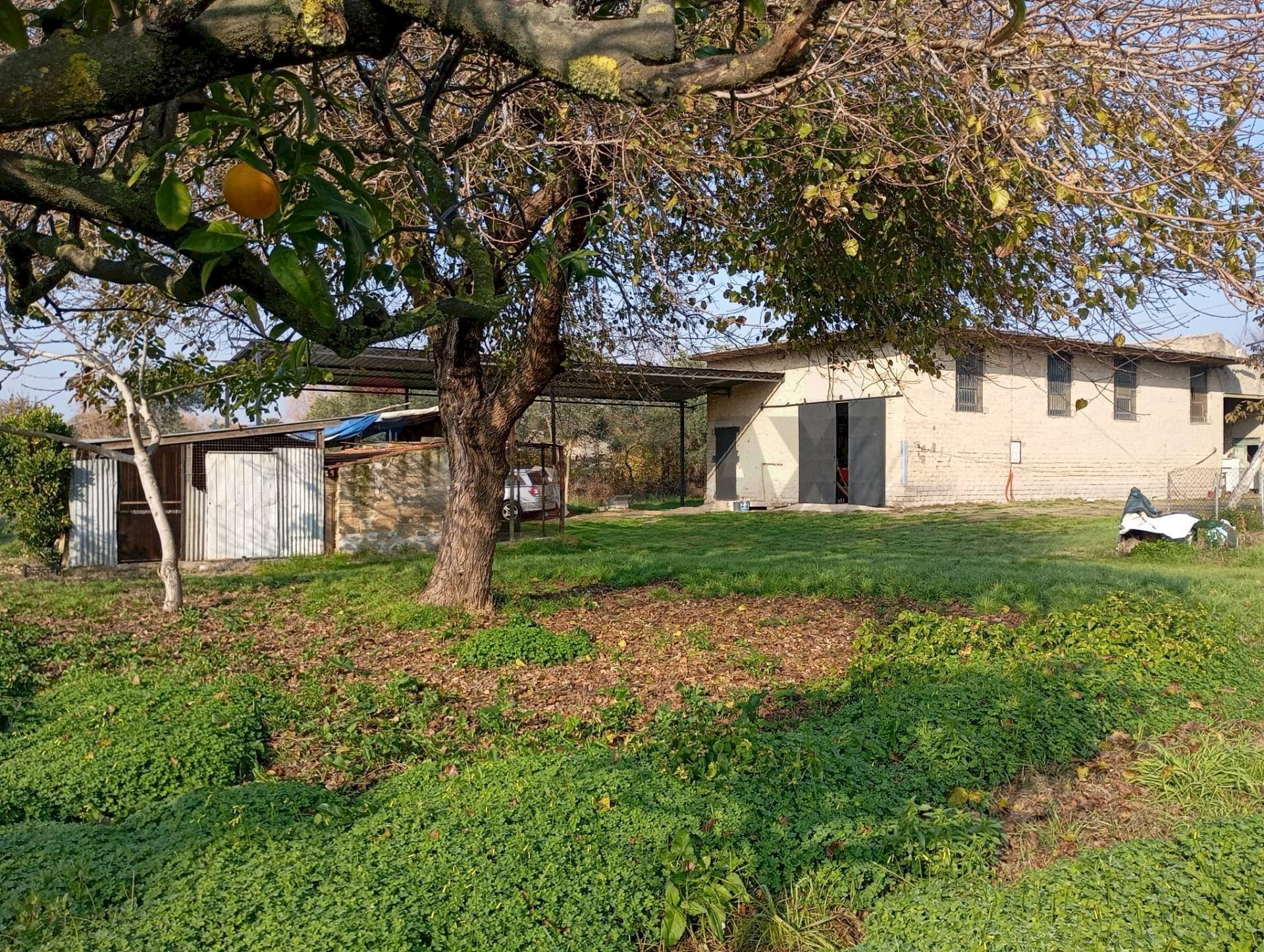 Giardino - Locale Commerciale Via Appia
999, Minturno - foto 3