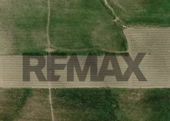 Posizione della mappa - Terreno agricolo SP 44
SNC, Santa Margherita di Belice - foto 8