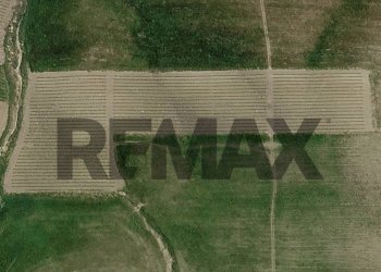 Posizione della mappa - Terreno agricolo SP 44
SNC, Santa Margherita di Belice - foto 9