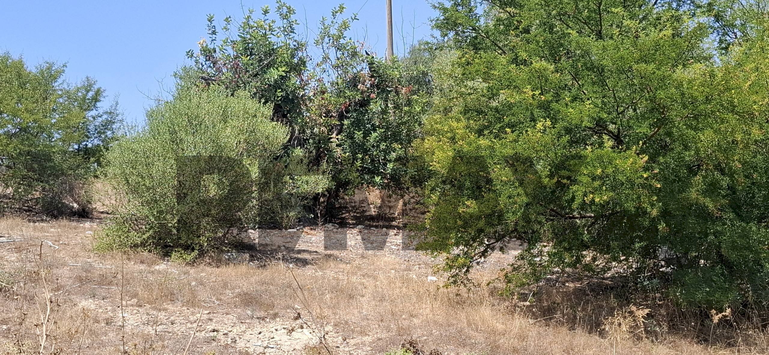 Giardino - Terreno agricolo VIA G. FALCONE
 
S.N, Vittoria - foto 1