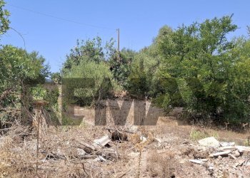 Giardino - Terreno agricolo VIA G. FALCONE
S.N, Vittoria - foto 3