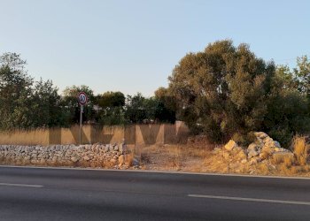 Non correlato - Terreno agricolo sp 36
190, Ragusa - foto 1