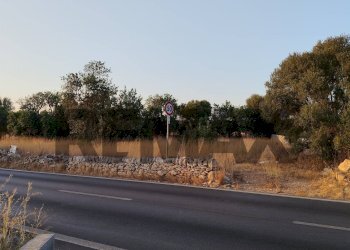 Non correlato - Terreno agricolo sp 36
190, Ragusa - foto 6