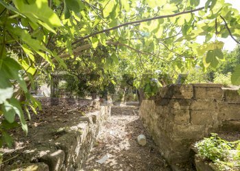 Giardino - Apartment Cortile Aquila
 
13, Lentini - photo 32