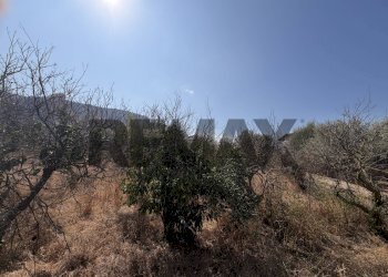 Vista delle montagne - Terreno agricolo Via Rosario di Salvo
SNC, Terrasini - foto 3