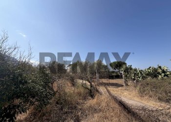 Vista delle montagne - Terreno agricolo Via Rosario di Salvo
SNC, Terrasini - foto 4