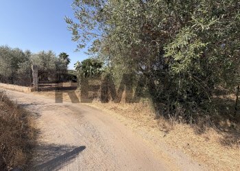 Non correlato - Terreno agricolo Via Rosario di Salvo
SNC, Terrasini - foto 5