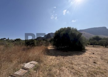 Vista delle montagne - Terreno agricolo Via Rosario di Salvo
SNC, Terrasini - foto 6