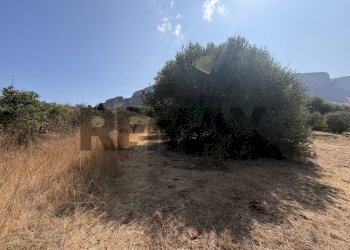 Vista delle montagne - Terreno agricolo Via Rosario di Salvo
SNC, Terrasini - foto 8