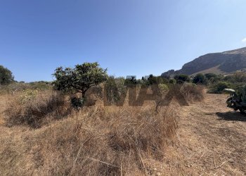 Vista delle montagne - Terreno agricolo Via Rosario di Salvo
SNC, Terrasini - foto 10