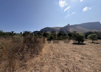 Vista delle montagne - Terreno agricolo Via Rosario di Salvo
SNC, Terrasini - foto 13