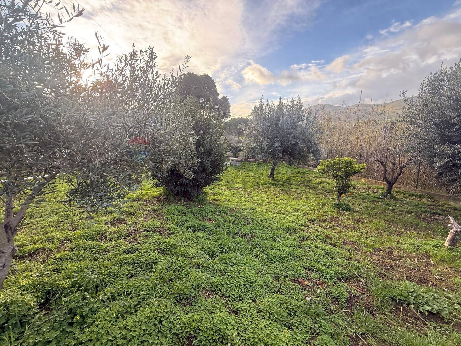 Giardino - Villa Tenuta Scozzari
snc, Bolognetta - photo 3