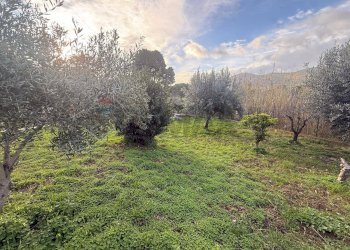 Giardino - Villa Tenuta Scozzari
 
snc, Bolognetta - photo 3
