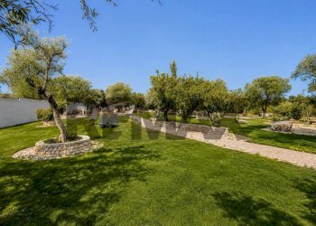 Giardino - Villa Contrada Tenente
 
Snc, Sannicandro di Bari - photo 14