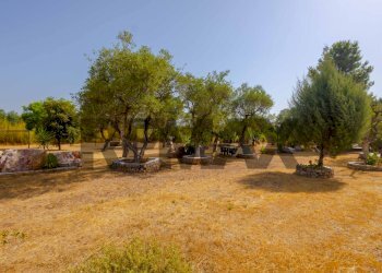 Giardino - Villa Contrada Tenente
 
Snc, Sannicandro di Bari - photo 21
