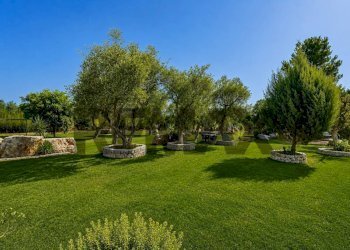 Giardino - Villa Contrada Tenente
 
Snc, Sannicandro di Bari - photo 22