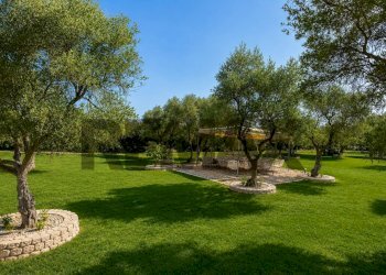 Giardino - Villa Contrada Tenente
 
Snc, Sannicandro di Bari - photo 26