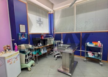 Ufficio - Negozio Via Torquato Tasso
 
177/A, Napoli - foto 6