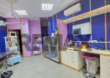 Ufficio - Negozio Via Torquato Tasso
 
177/A, Napoli - foto 10