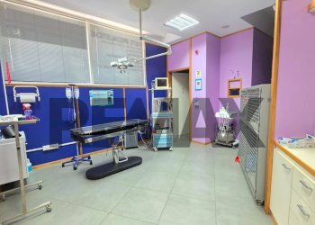 Palestra - Negozio Via Torquato Tasso
 
177/A, Napoli - foto 12