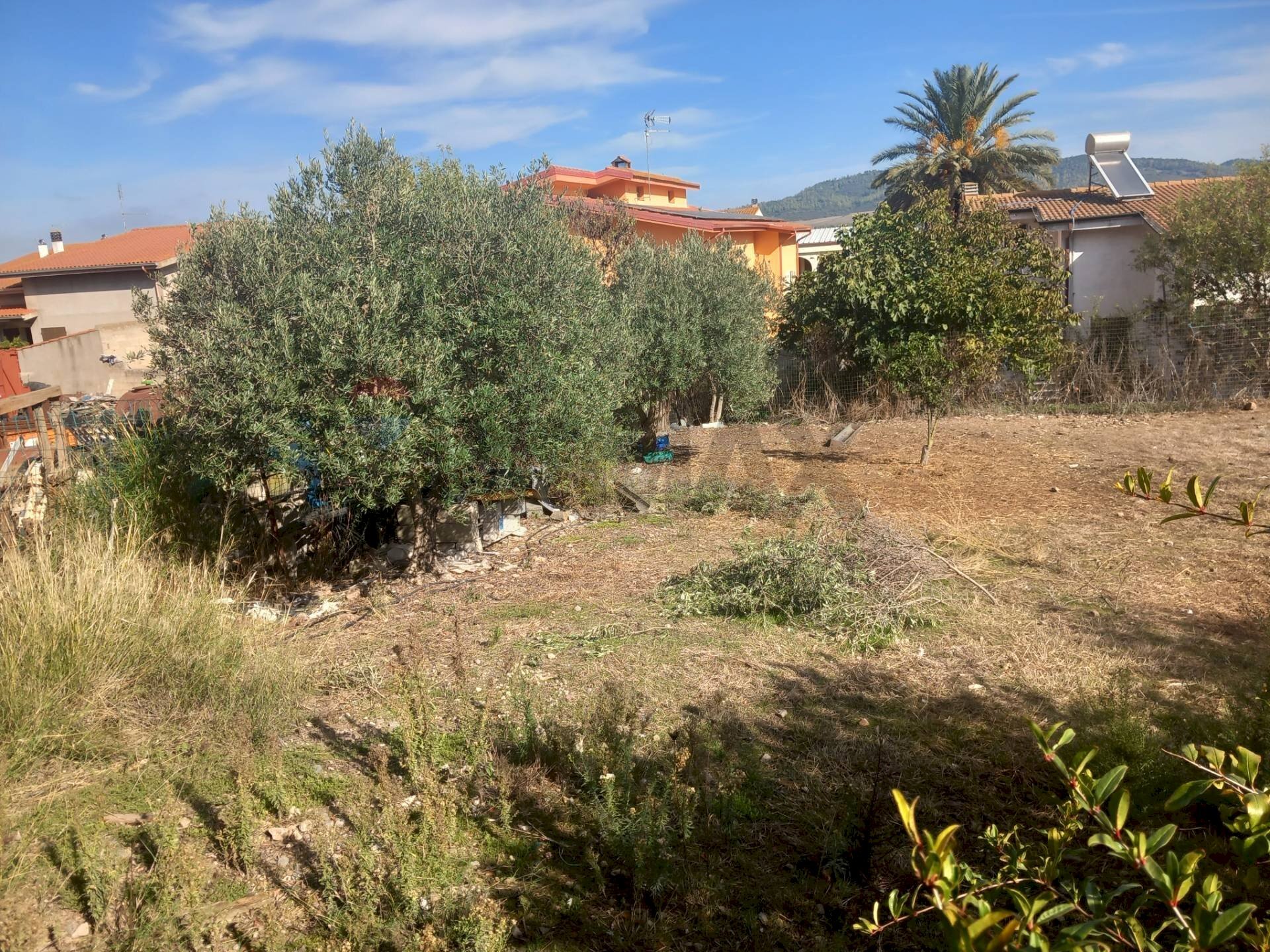 Giardino - Terreno edificabile Via Grazia Deledda
10, Siliqua - foto 2