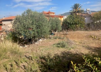 Giardino - Terreno edificabile Via Grazia Deledda
10, Siliqua - foto 2