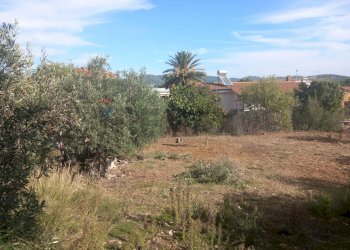 Giardino - Terreno edificabile Via Grazia Deledda
10, Siliqua - foto 3