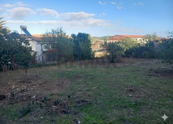 Giardino - Terreno edificabile Via Grazia Deledda
10, Siliqua - foto 6