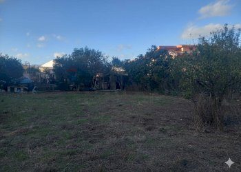 Giardino - Terreno edificabile Via Grazia Deledda
10, Siliqua - foto 7