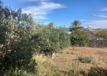 Giardino - Terreno edificabile Via Grazia Deledda
10, Siliqua - foto 8