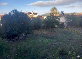 Giardino - Terreno edificabile Via Grazia Deledda
10, Siliqua - foto 10