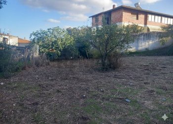 Giardino - Terreno edificabile Via Grazia Deledda
10, Siliqua - foto 11